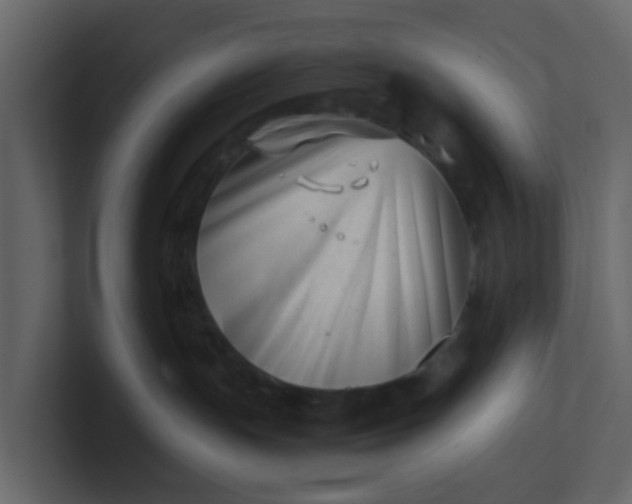 X0000101100191200807101455