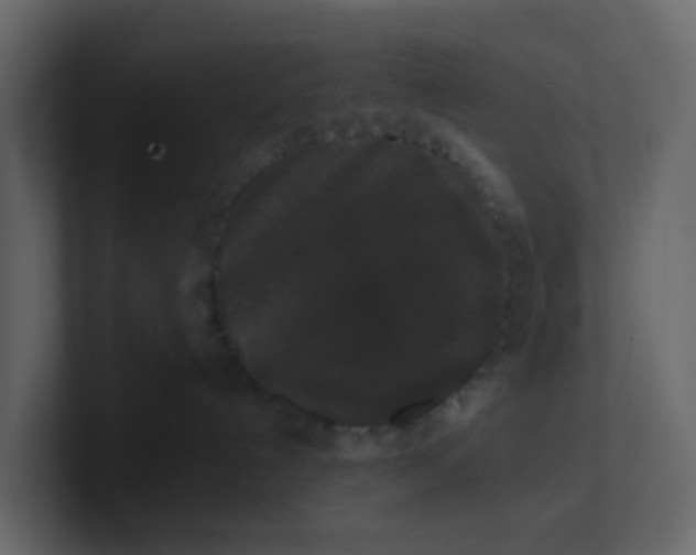 X0000101100192200807101455