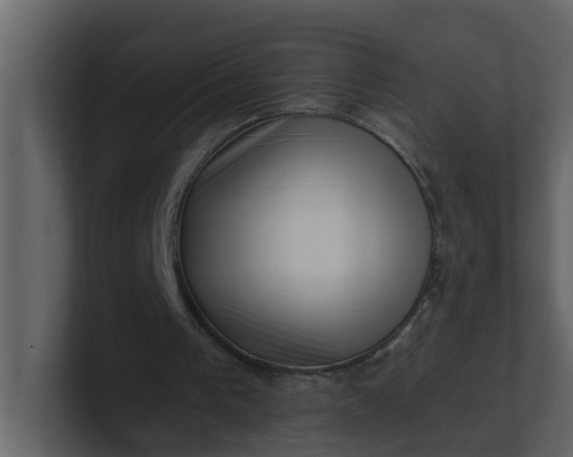 X0000101100193200807101454