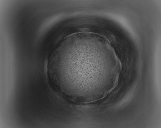 X0000101100194200807101454