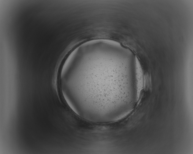 X0000101100195200807101454