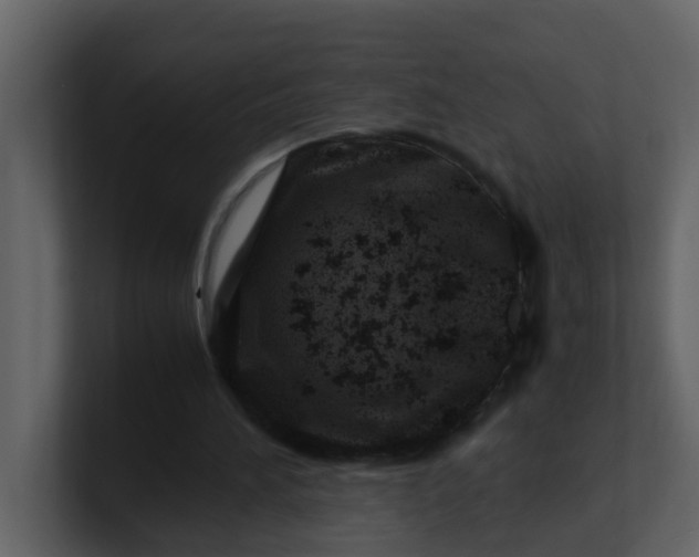 X0000101100196200807101454