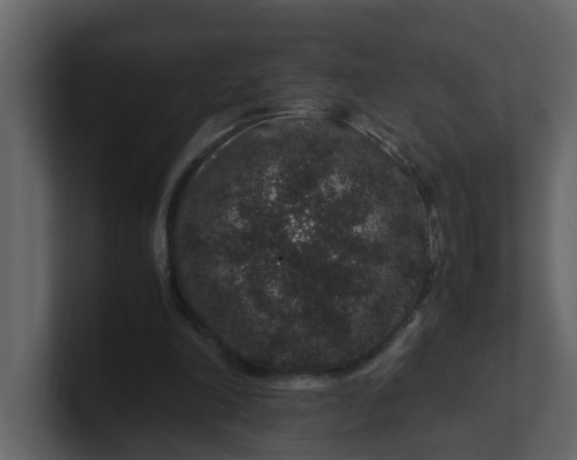 X0000101100198200807101454