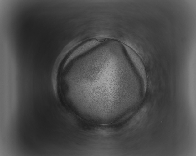 X0000101100199200807101454