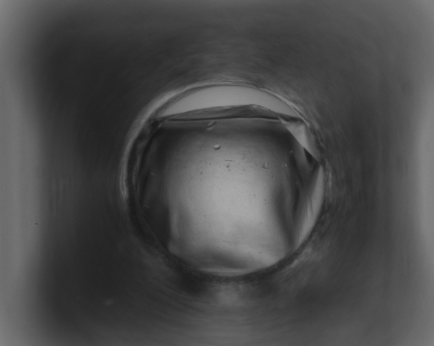 X0000101100200200807101454