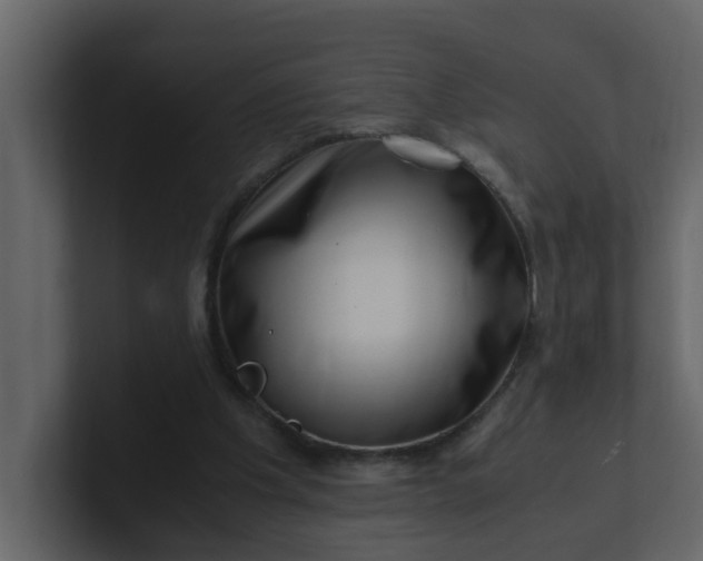 X0000101100201200807101454