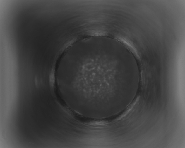 X0000101100202200807101454