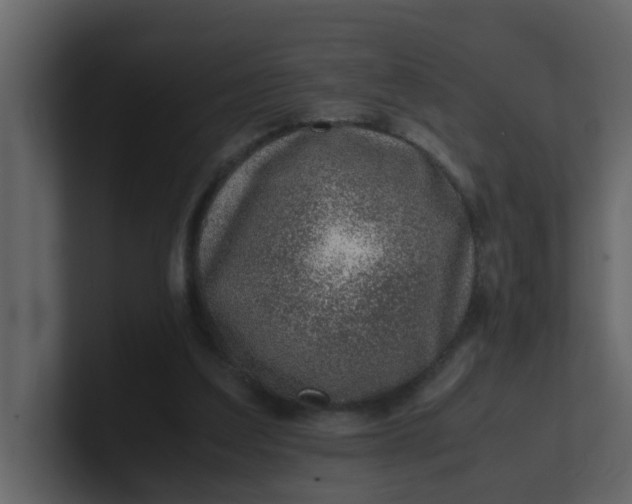 X0000101100203200807101454