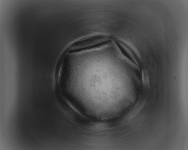 X0000101100204200807101454