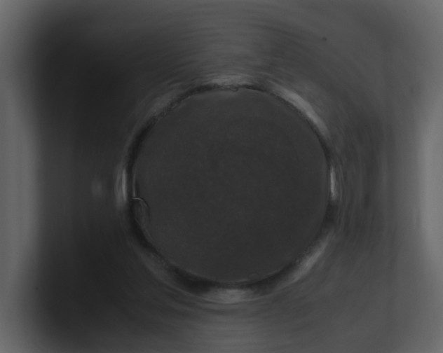 X0000101100205200807101454