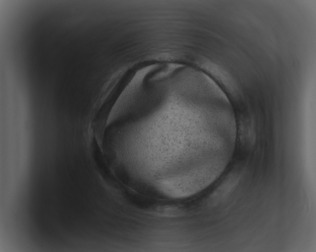 X0000101100208200807101454