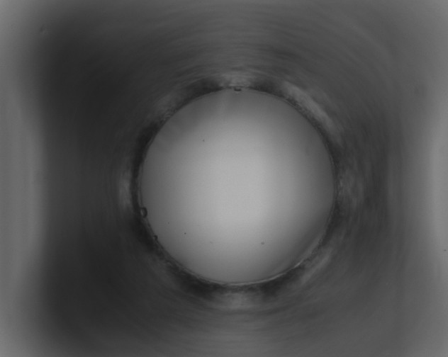 X0000101100209200807101454