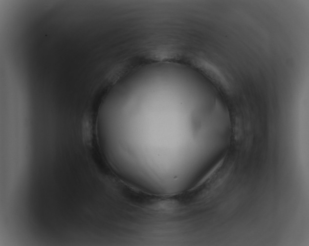 X0000101100210200807101454