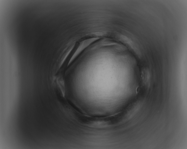 X0000101100212200807101454