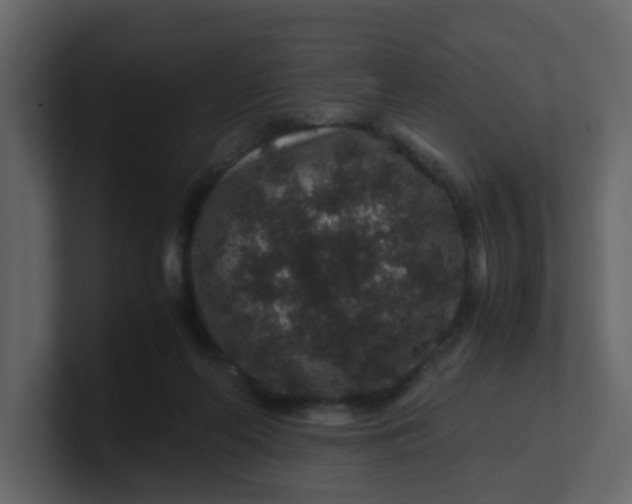 X0000101100214200807101454