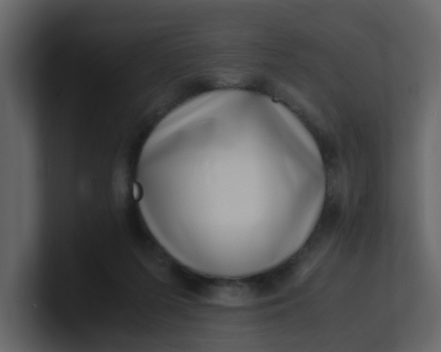 X0000101100215200807101454