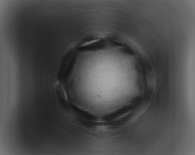 X0000101100216200807101454