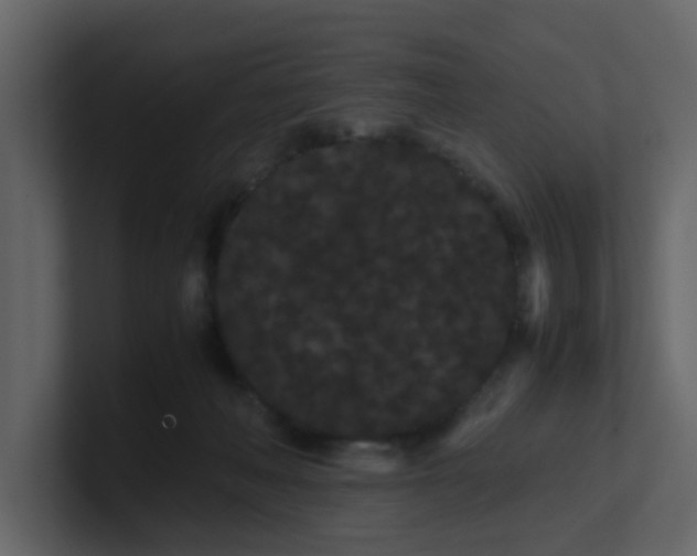 X0000101100222200807101454