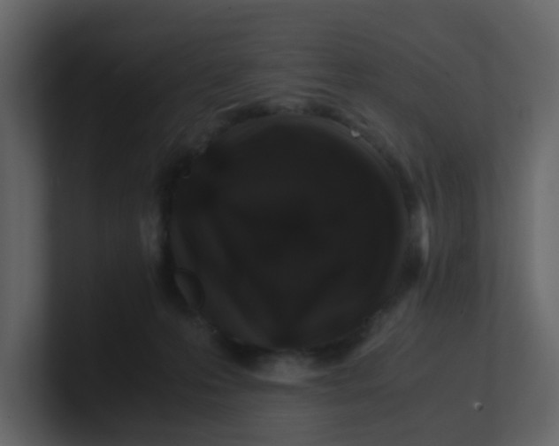 X0000101100223200807101454