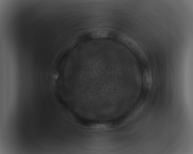 X0000101100224200807101454