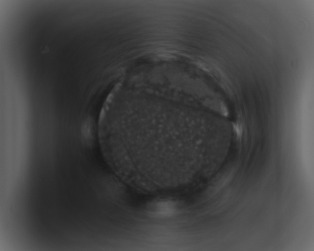 X0000101100228200807101454