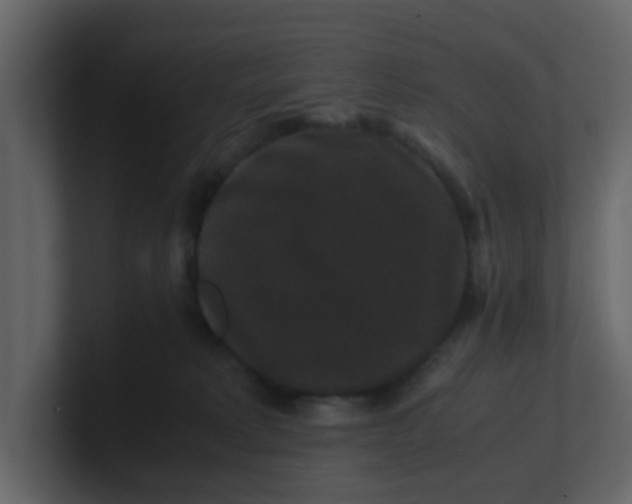 X0000101100229200807101454