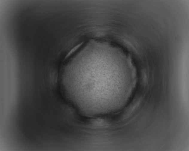 X0000101100230200807101454