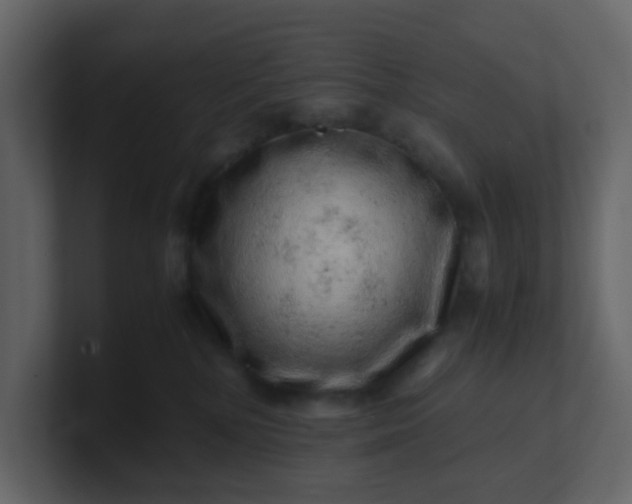 X0000101100232200807101454