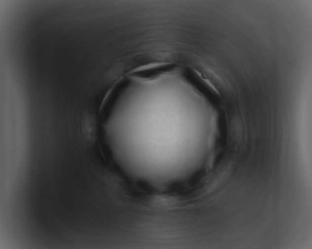 X0000101100234200807101454