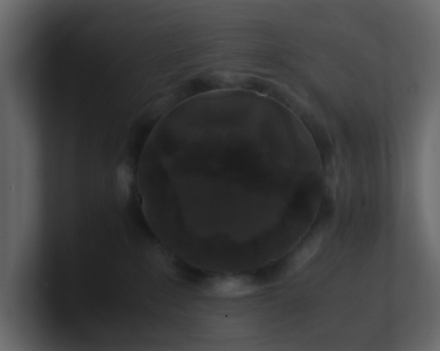 X0000101100235200807101454