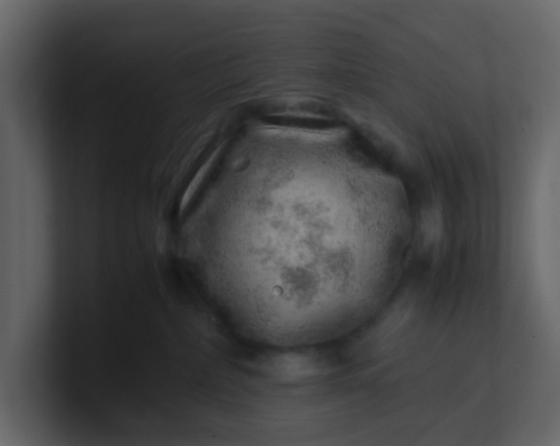 X0000101100236200807101454