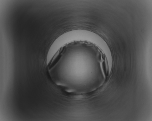 X0000101100237200807101454