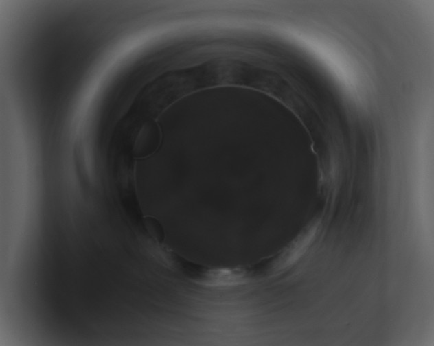 X0000101100239200807101454