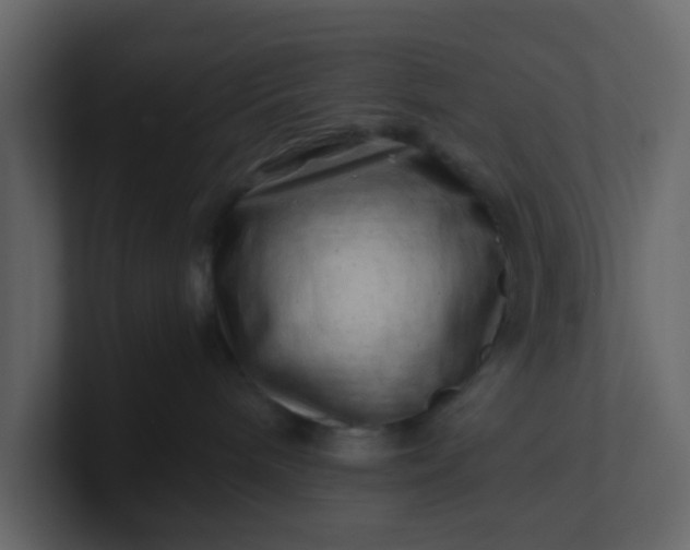 X0000101100240200807101454