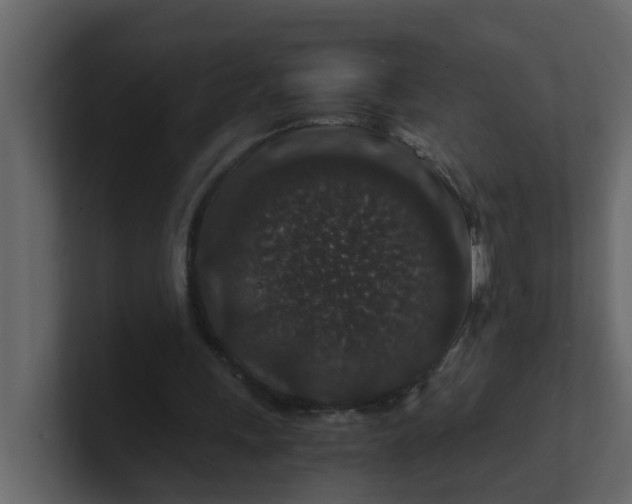 X0000101100243200807101453