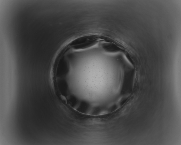 X0000101100244200807101453