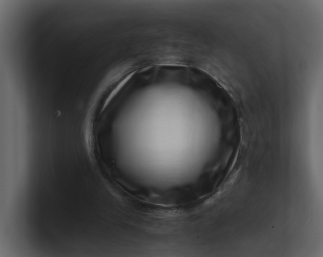 X0000101100245200807101453