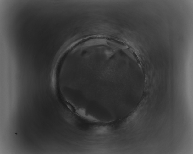 X0000101100247200807101453