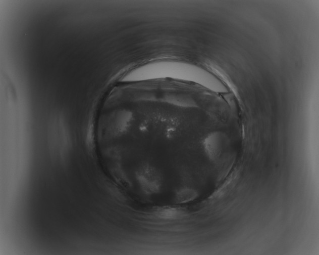 X0000101100249200807101453