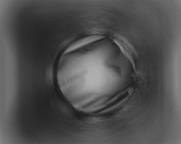 X0000101100250200807101453