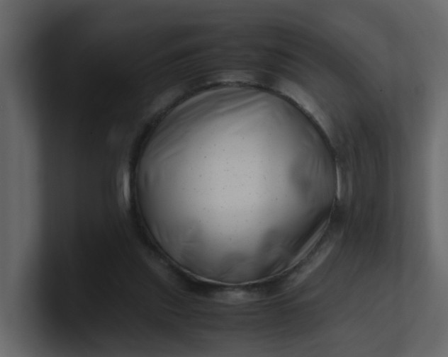 X0000101100253200807101453