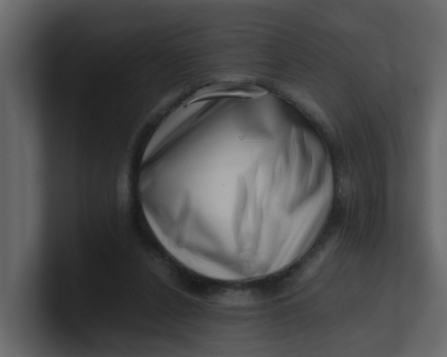 X0000101100256200807101453