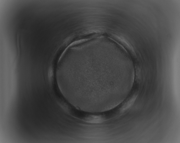 X0000101100260200807101453