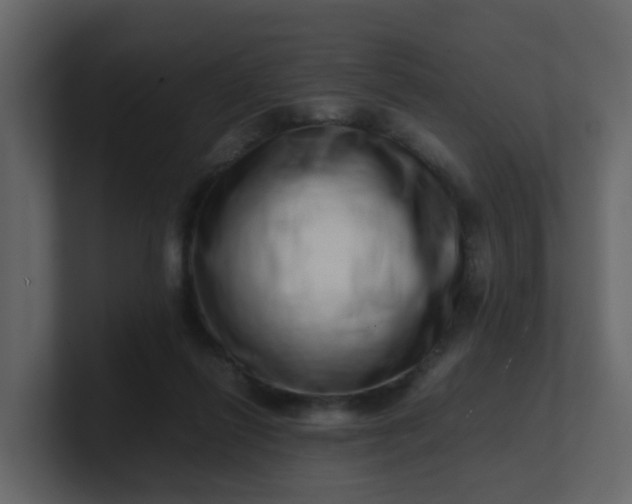 X0000101100262200807101453