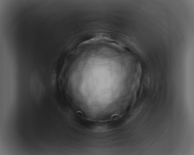 X0000101100263200807101453