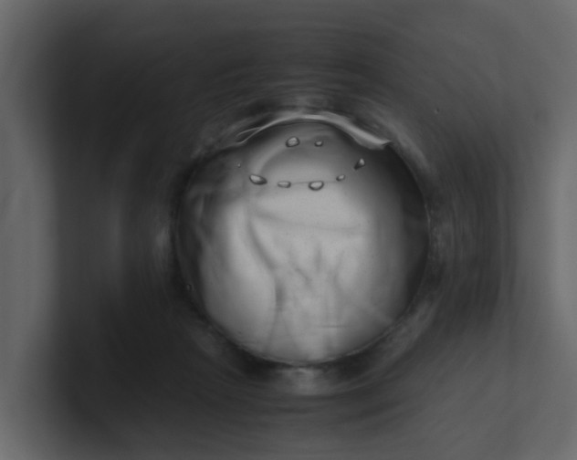 X0000101100265200807101453