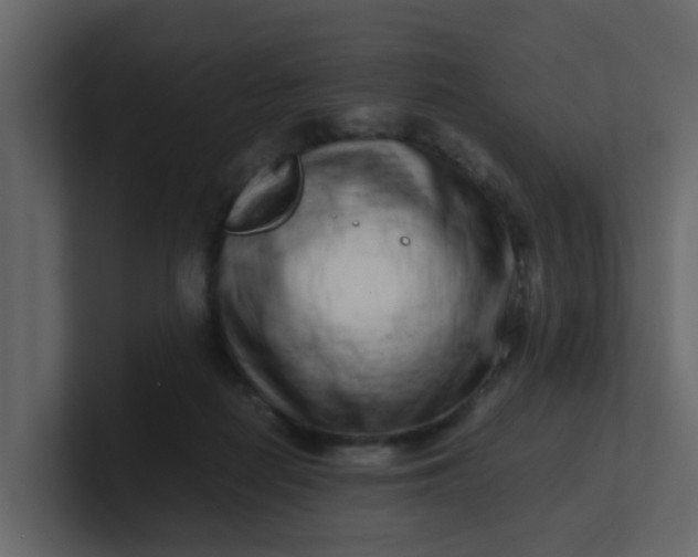 X0000101100266200807101453