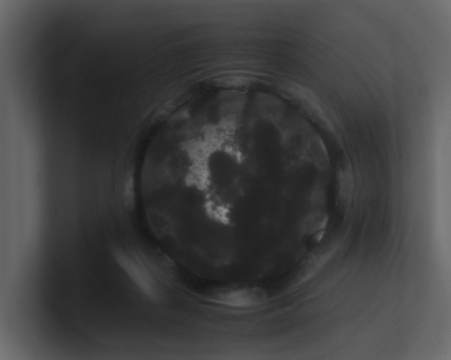 X0000101100267200807101453