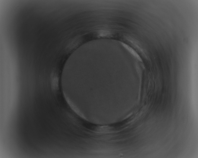 X0000101100269200807101454