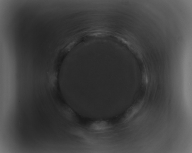 X0000101100271200807101454